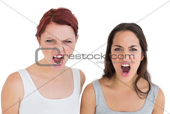 Close-up of two angry young female friends shouting