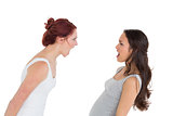 Angry young female friends having an argument