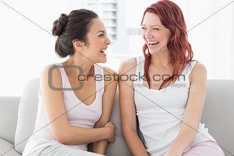 Beautiful female friends laughing in the living room