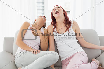 Young female friends laughing in the living room
