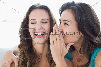 Female friends gossiping in the living room