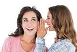 Two cheerful young female friends gossiping