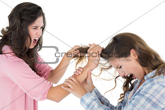 Angry young woman pulling females hair in a fight
