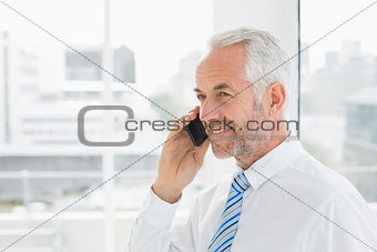Smiling mature businessman using mobile phone in office