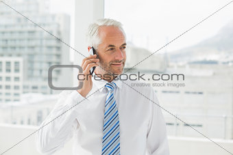Mature businessman using mobile phone in office