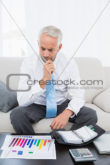Businessman with graphs and diary at home