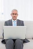 Portrait of a mature businessman using laptop on sofa