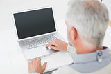 Close-up rear view of a grey haired man using laptop at desk