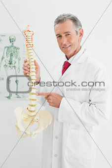 Smiling doctor holding skeleton model in office
