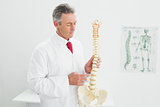 Doctor holding skeleton model in office