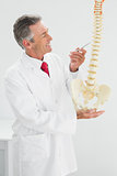Doctor holding skeleton model in office