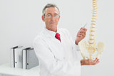 Confident male doctor holding skeleton model in office