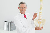 Happy doctor holding skeleton model in office