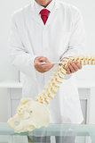 Male doctor with skeleton model
