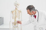 Doctor explaining spine in office