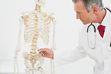 Doctor explaining the spine in office