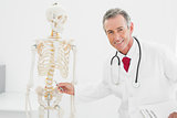Smiling doctor explaining the spine in office
