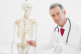 Confident doctor explaining the spine in office