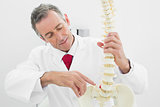 Doctor explaining the spine in office