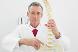 Confident male doctor explaining spine in office