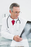 Doctor looking at x-ray picture of lungs in office
