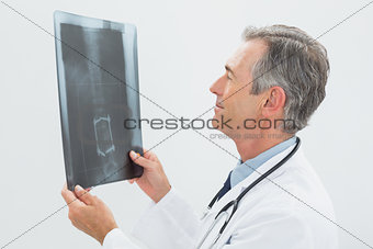 Concentrated male doctor looking at x-ray