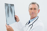 Confident doctor with x-ray picture of lungs