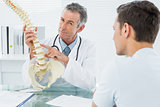 Doctor explaining spine to patient in office
