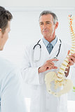 Doctor explaining the spine to patient in office