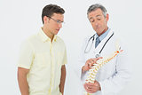 Doctor showing patient something on skeleton model