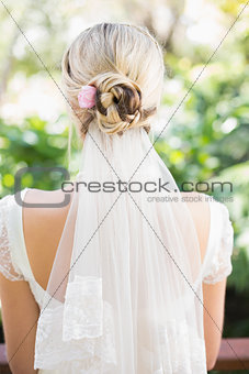 Rear view of bride in a veil