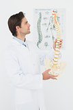 Serious male doctor looking at skeleton model