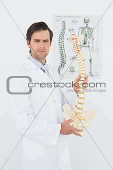 Confident male doctor holding skeleton model