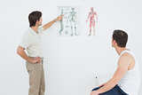 Physiotherapist showing patient something on skeleton chart