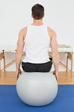 Rear view of a young man sitting on yoga ball
