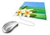 Mouse photo online internet concept