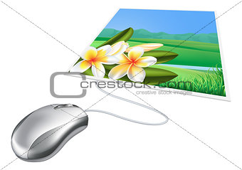 Mouse photo online internet concept