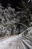 Night road in winter forest