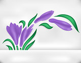 Abstract iris with banner 