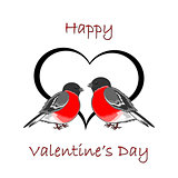 A couple of cute bullfinches (pyrrhula) with a heart. Valentine'