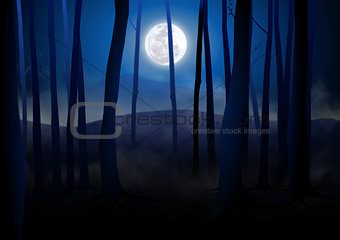 Dark Woods and Full Moon