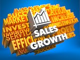 Sales Growth. Wordcloud Concept.