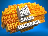 Sales Increase. Wordcloud Concept.