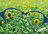 View from reading eyeglasses on beautiful nature view