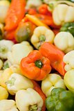 colorfull aromatic fresh bell pepper paprika on market