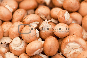 fresh brown champignons on market outdoor