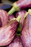 fresh violet eggplant in summer outdoor on market 