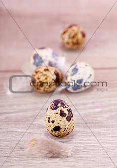 easter decoration with quail eggs on wood