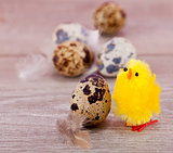 easter decoration with quail eggs on wood