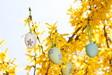 easter egg and forsythia tree in spring outdoor